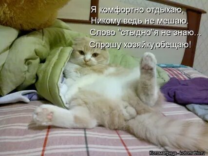 Не сказал что подождет