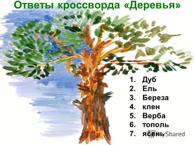 Плоды чудо дерево сканворд 5. Кроссворд деревья. Кроссворд про деревья для детей. Дерево ответов. Кроссворд деревья и кустарники.