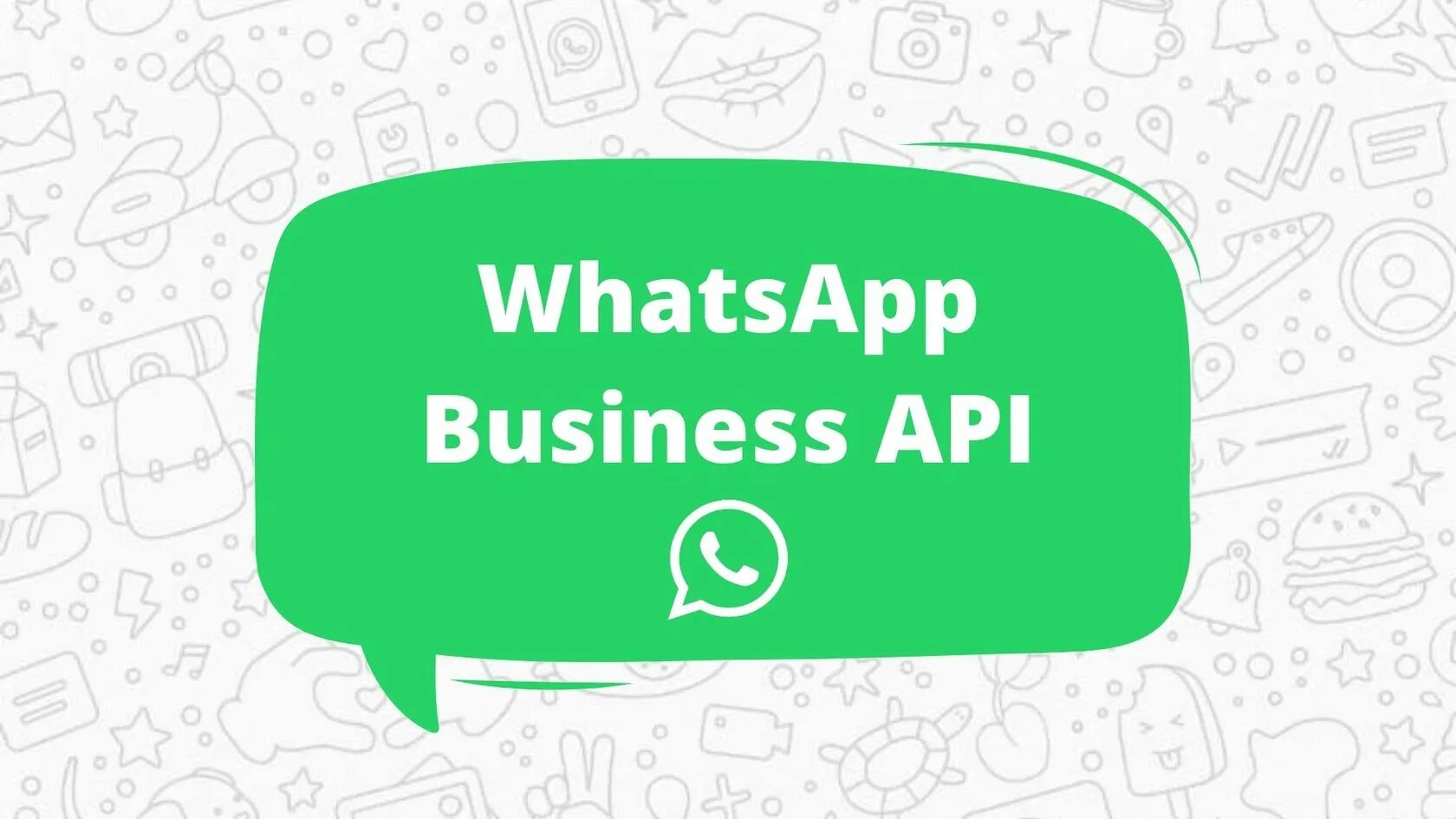 Whatsapp api. Whatsapp business api. whatsapp бизнес апи. whatsapp и whatsapp business api. рассылка в whatsapp business.
