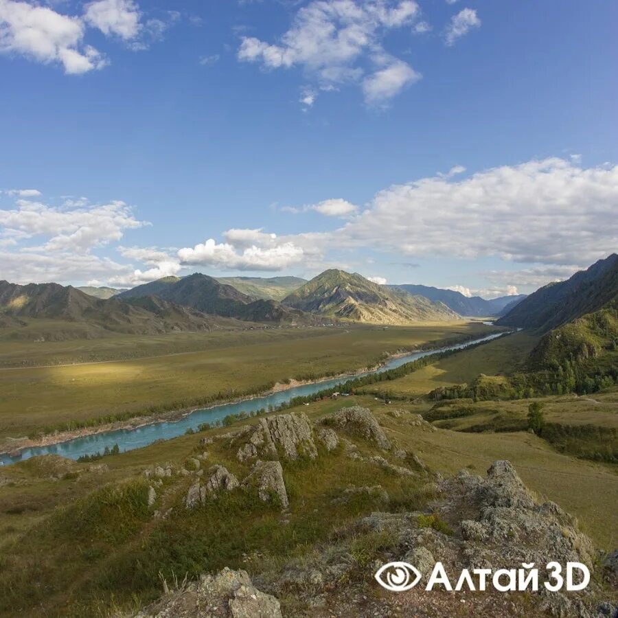 Джазатор горный Алтай. Село Куюс горный Алтай. Замульта горный Алтай. Карагон горный Алтай.