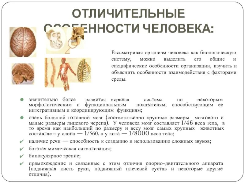 Человек как биологический тип. Отличительные особенности человека. важнейшие особенности человека. особенности организма человека. особенности человека как биологического вида.