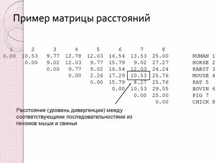 Матрица расстояний