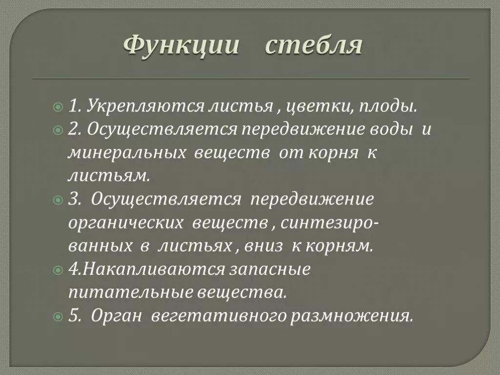 Какие функции выполняет стебель растения. Функции стебля. Перечислите функции стебля. Функции стебля растений. Функции стебля цветка