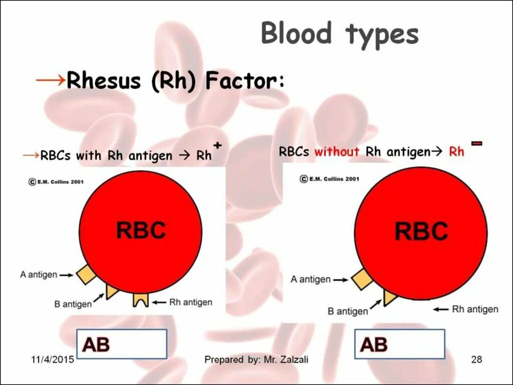 Как по английски кровь. Blood Type. Ab Blood Type. Blood Types in Russian and English. Blood Type b группа.