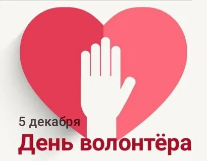 5 волонтер