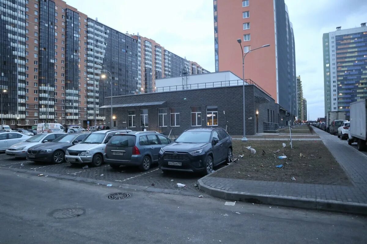 Почему не стоит жить в мурино. Мурино до застройки. Мурино клоповник. Менделеевский проспект мурино. Илья варламов 2023.