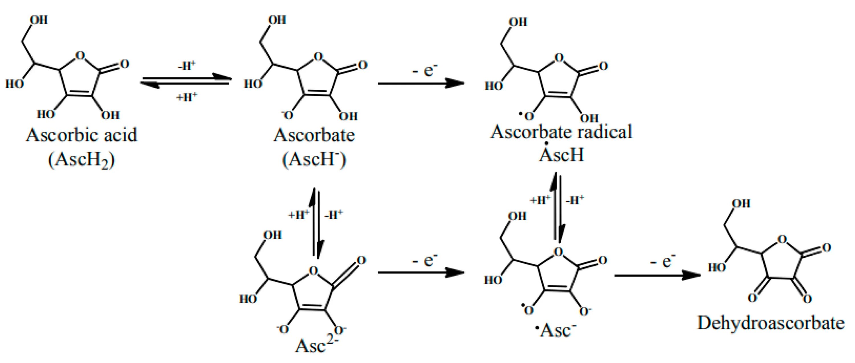 Требования acid. Aziatic acid. Транзакция базы данных. Acid принципы java. Carboxylic group.