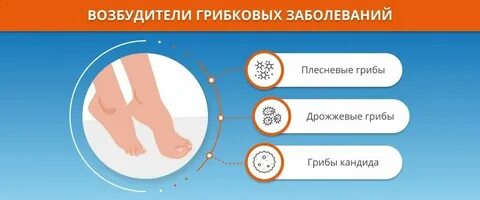 Инфекция 8 букв