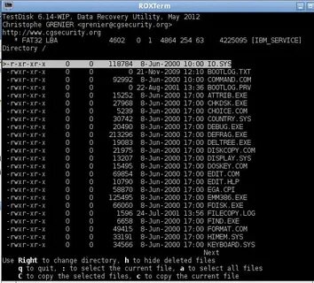 Find executable