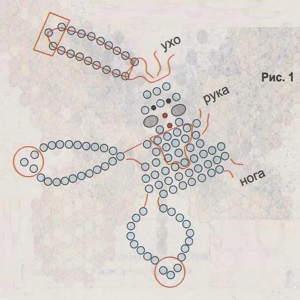Как сплести зайца из бисера схема. Животные из бисера. Фигурки из бисера плоские. Схемы для бисероплетения кролик. Схемы котиков из бисера(кирпичное плетение).