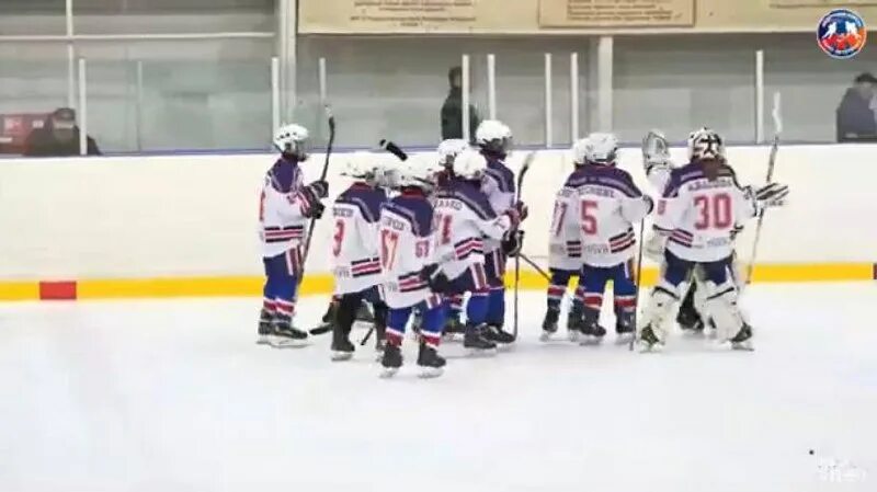 команда кубок победа. ска торпедо. хоккей с шайбой санкт петербург. победа хоккейной команды. команда хоккей центр.