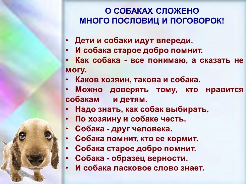 Пословицы слова собака. Пословицы и поговорки о собаках. поговорки про собак. пословицы про собак. пословицы про собаку для детей.