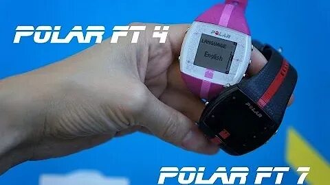 Polar 4