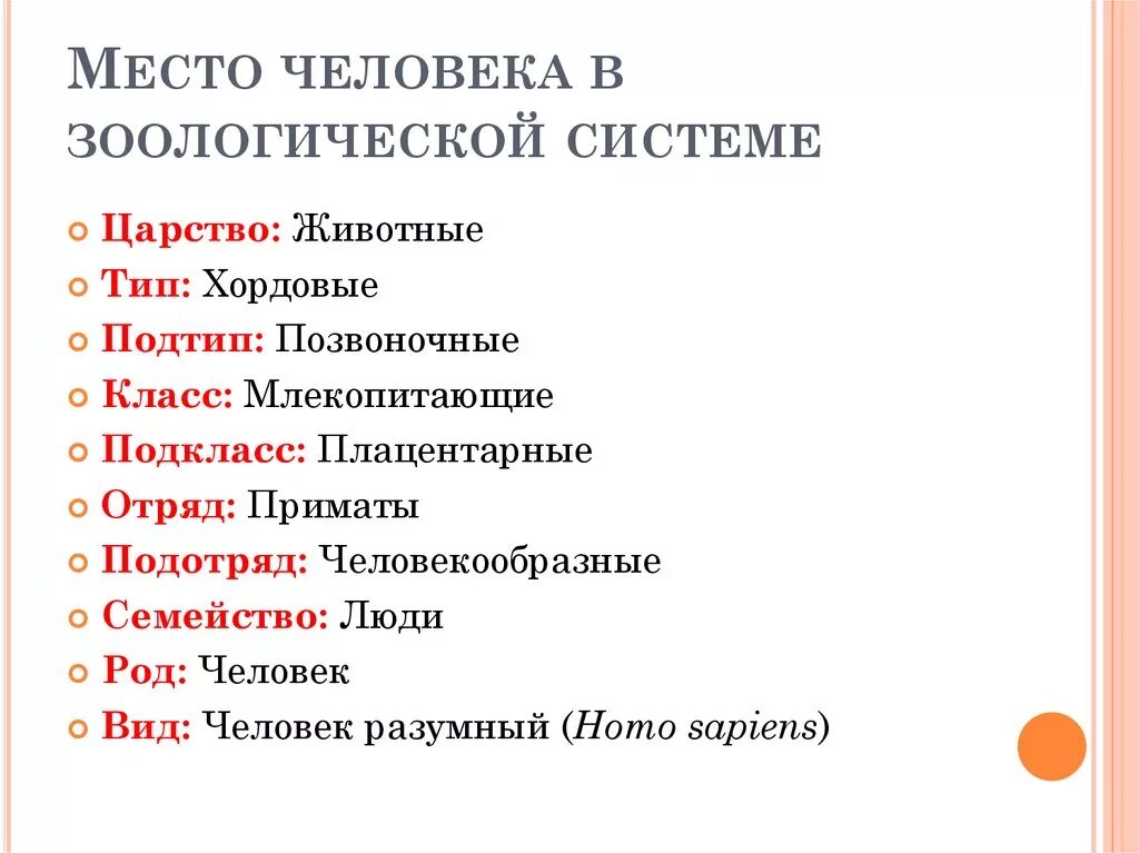 Положение человека в царстве животных. Положение человека в царстве животных