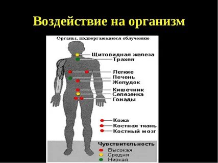 Биологическое действие радиации на организм человека