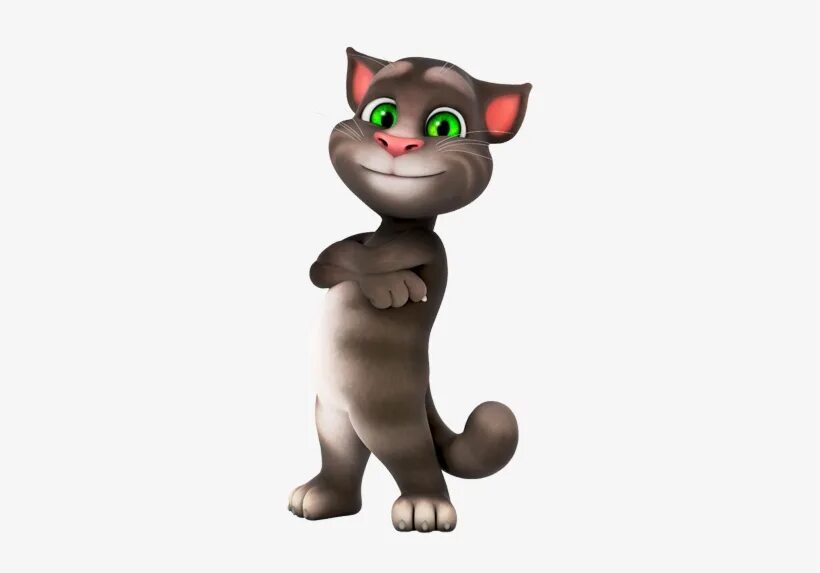 Картинка том игра. Talking tom. том говорящий том. том из игры говорящий том. том из тома и его друзей.