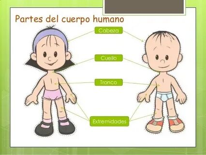 Para cuerpo