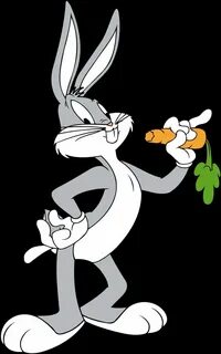 I bunny