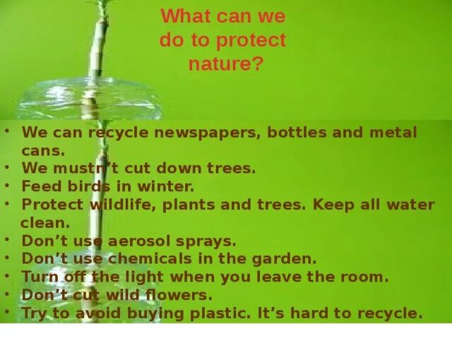 We can recycle. What should we do to protect nature?. What should we do to protect the environment. What can we do to protect our nature. What people should do to protect the nature;.
