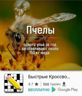Пчела выражения