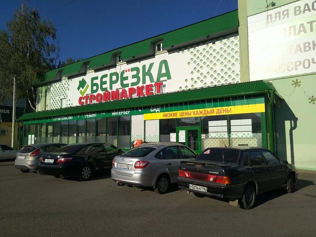 Березка строительный