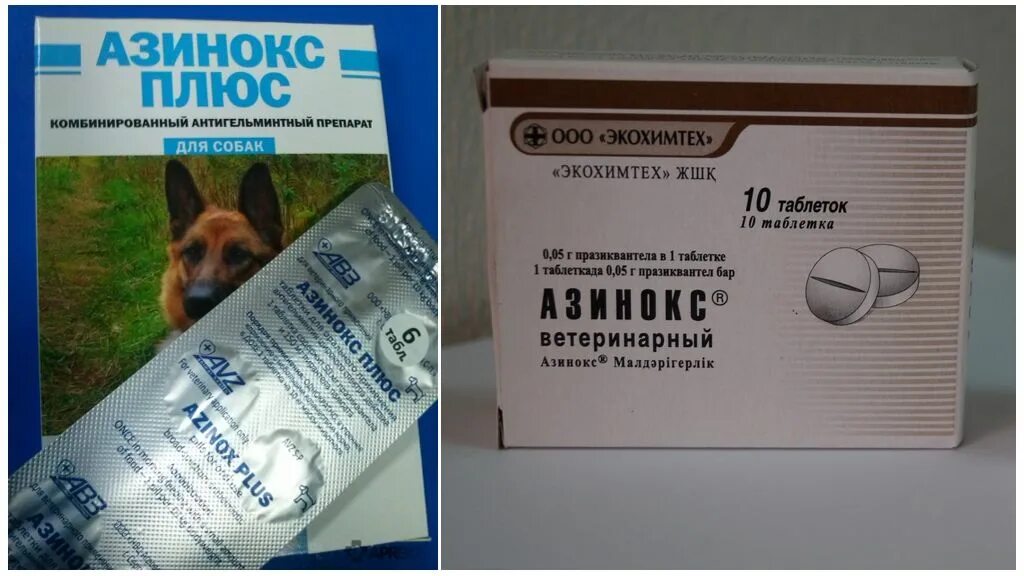 Таблетка от глистов для собак азинокс. Лекарство от глистов для собак азинокс. глистогонка для собак азинокс. средство от глистов для собак азинокс. таблетки от глистов для собак азинокс плюс.