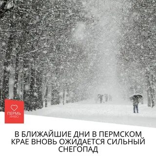 Still snow