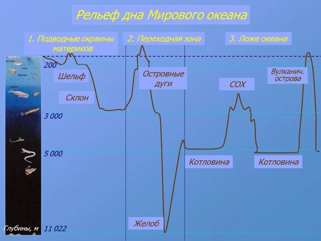 Формы рельефа дна мирового океана схема. Рельеф дна мирового океана 6. Формы рельефа дна океана 6 класс география. Строение рельефа дна океана. Определение частей океана