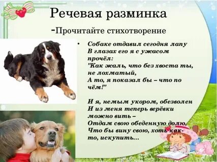Не связывайтесь со щенком читать