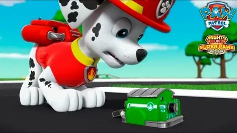 Paw patrol pups save
