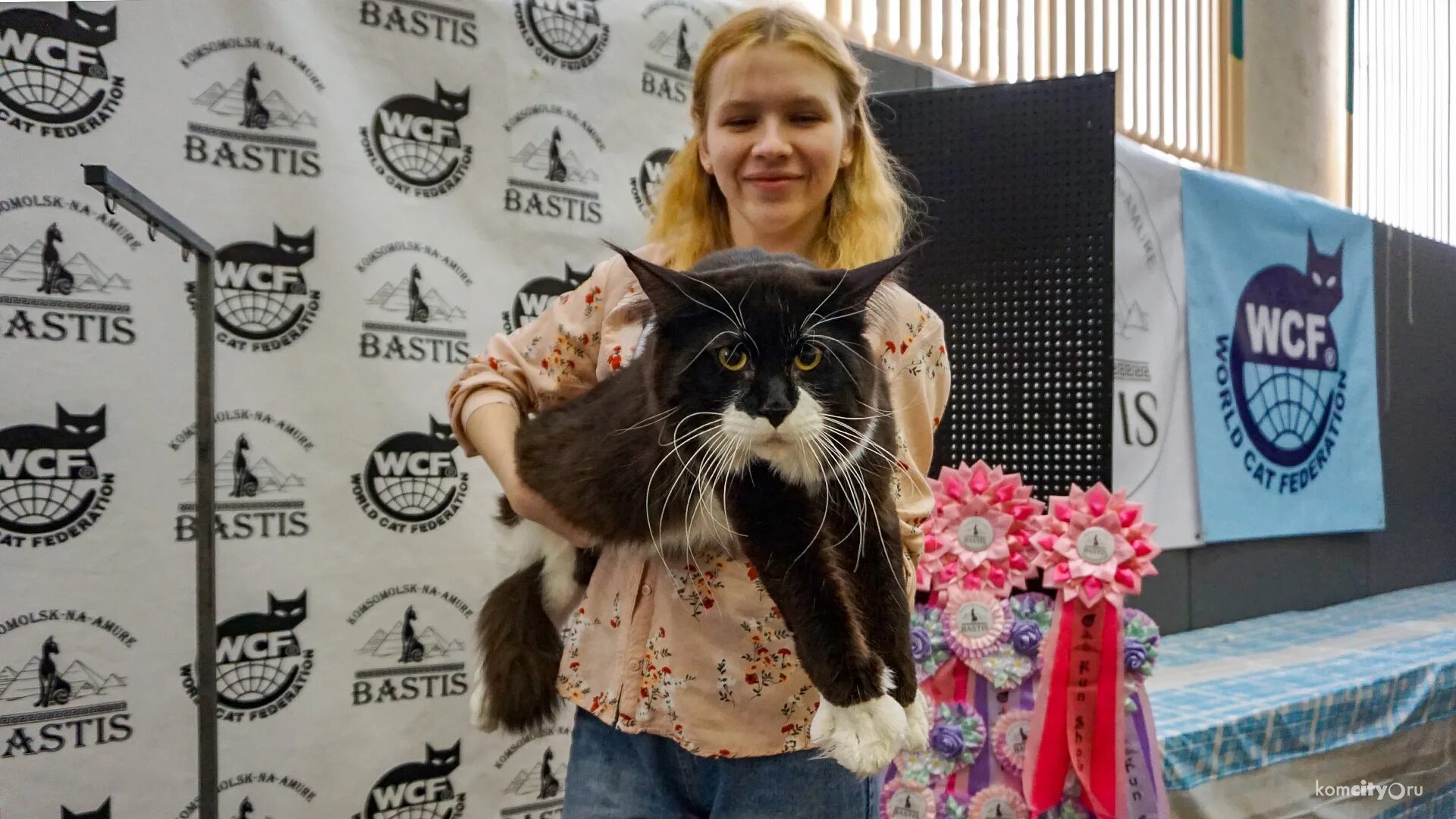 Выставка кошек йошкар ола. Выставка кошек Южно-Сахалинск 2022. Выставка кошек. Международная выставка кошек. Выставка кошек афиша.
