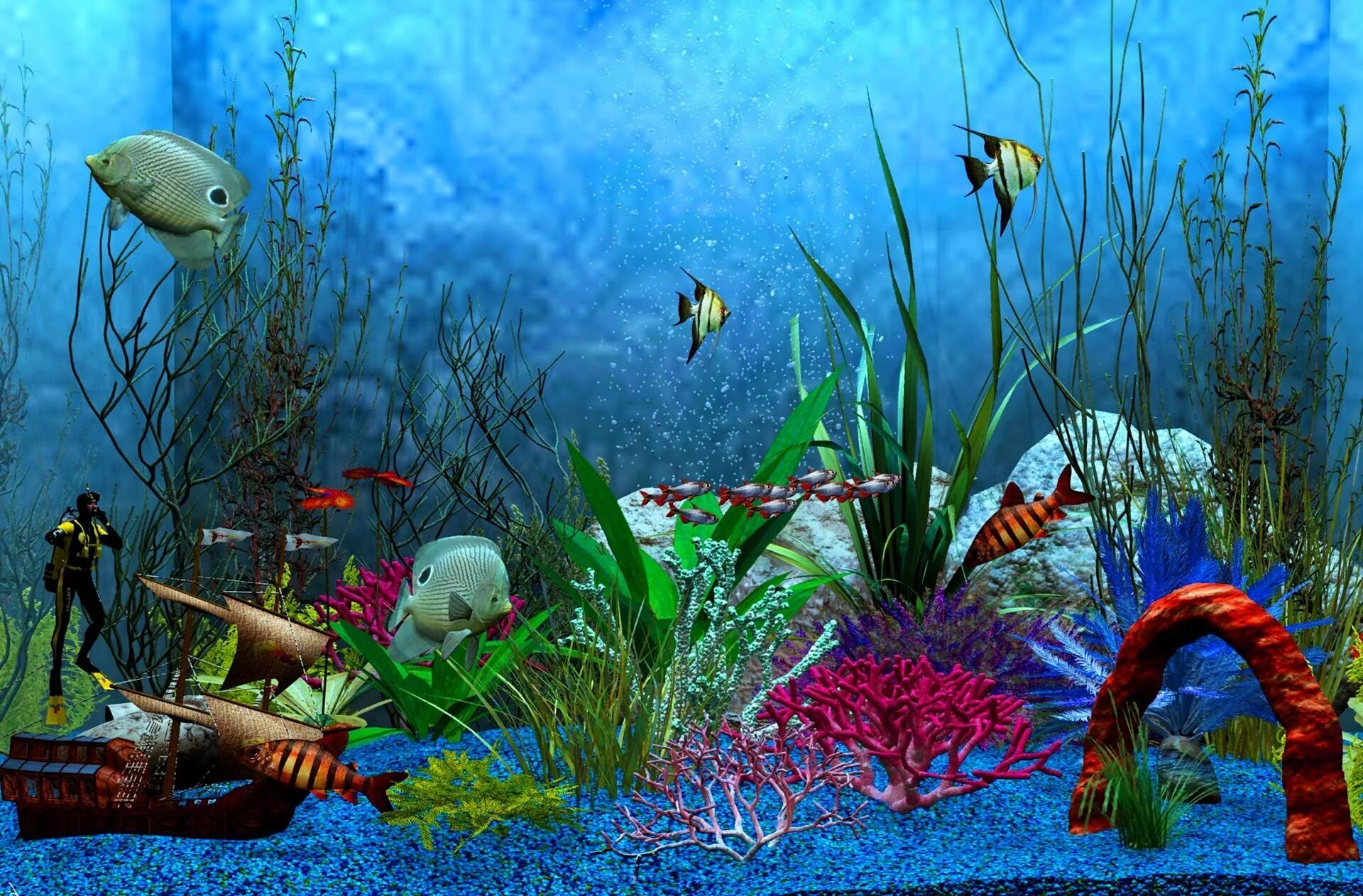 Обои аквариум. Живой аквариум. Живые рыбки. Аквариум 3д.