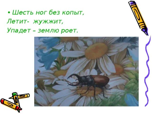 Шесть ног без копыт. Шесть ног без копыт летит жужжит упадет землю роет. Чёрен да не ворон рогат да не бык шесть ног без копыт ответ кроме жука. Рогат да не бык шесть. Загадка летает а не птица.