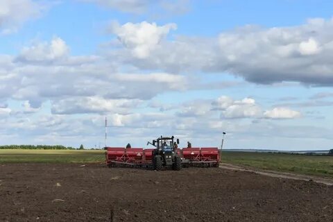 Золотая нива новоалександровск