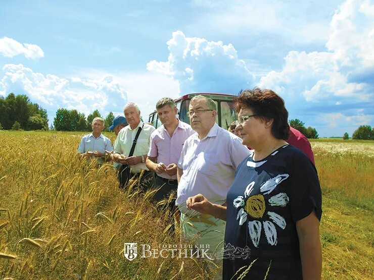управляющая компания городец