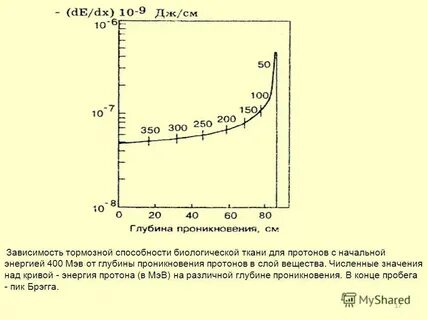 17 зависимый