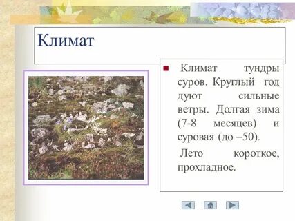 Тундра план