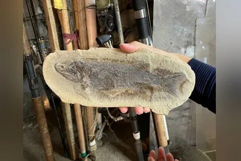 Нашли замороженную девушку
