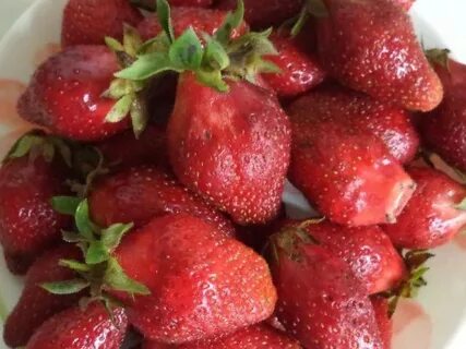 Кардинал клубника описание сорта фото отзывы садоводов