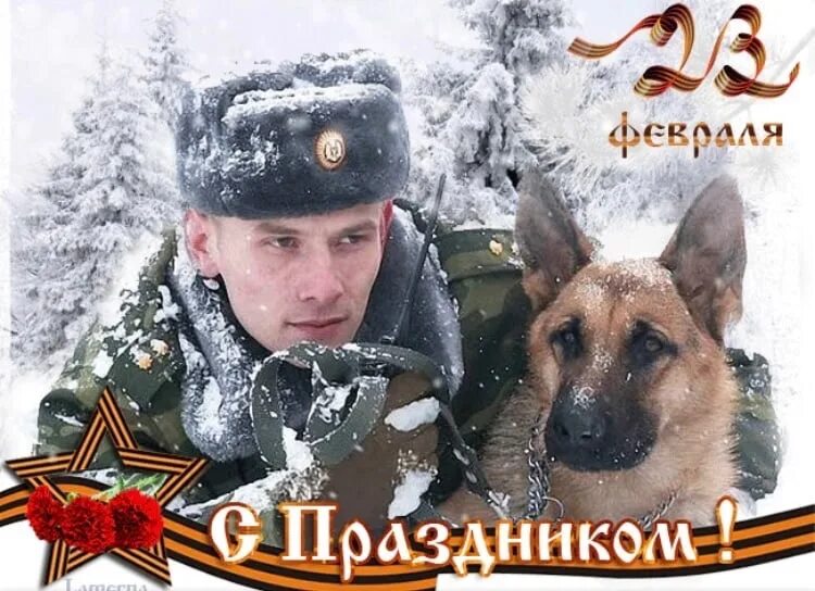 С днем защитника отечества с животными. С 23 февраля. 23 февраля день защитника отечества. открытка 23 февраля. поздравление с 23 февраля.