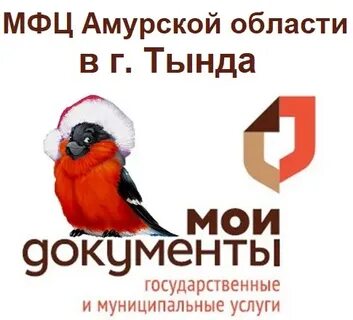 Мфц амурской
