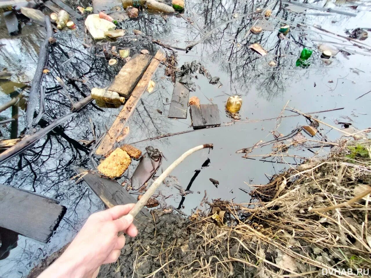 Загрязненный водоем. Загрязненное озеро. Загрязненные земли. Загрязненные водоемы России. Пропал пруд