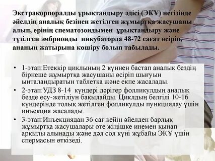 Ресейлік қоғамдық көліктегі порно