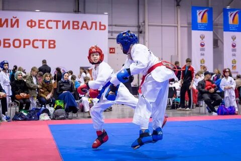 Фестиваль единоборств