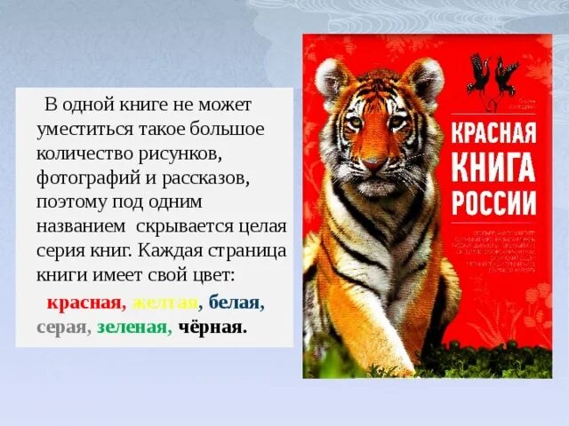 Проект про красную книгу про птиц Взял под защиту