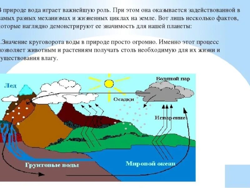 Какую роль играет вода. Роль воды в природе. значение воды в природе. важность воды в природе. значимость воды в природе.