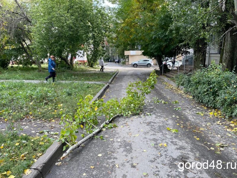 Когда стихнет ветер в краснодаре. Когда стихнет ветер в краснодаре. Ветер. Когда стихнет ветер в краснодаре. Порывы ветра сегодня в краснодаре.