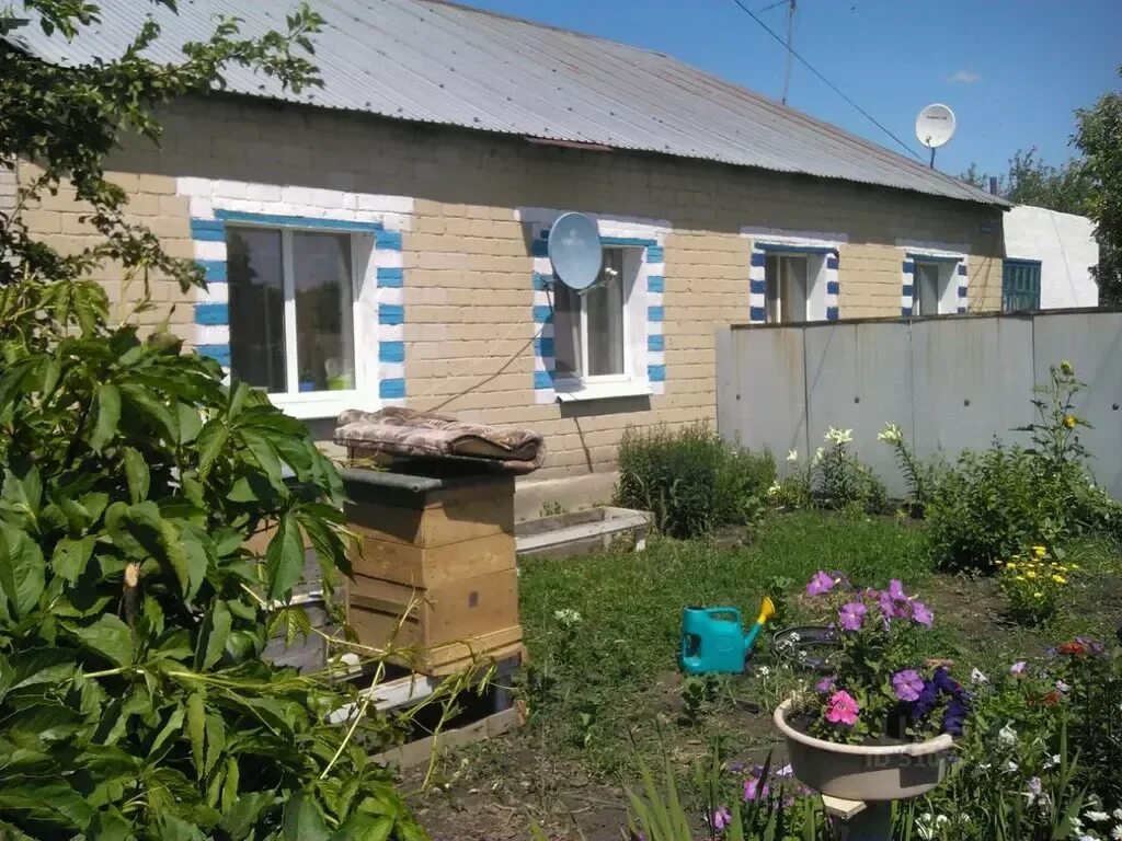Погода в оноприеновка кувандыкский. Погода в оноприеновка кувандыкский. Погода в оноприеновка кувандыкский. Большенаполовская школа. Оноприеновка оренбургская область.