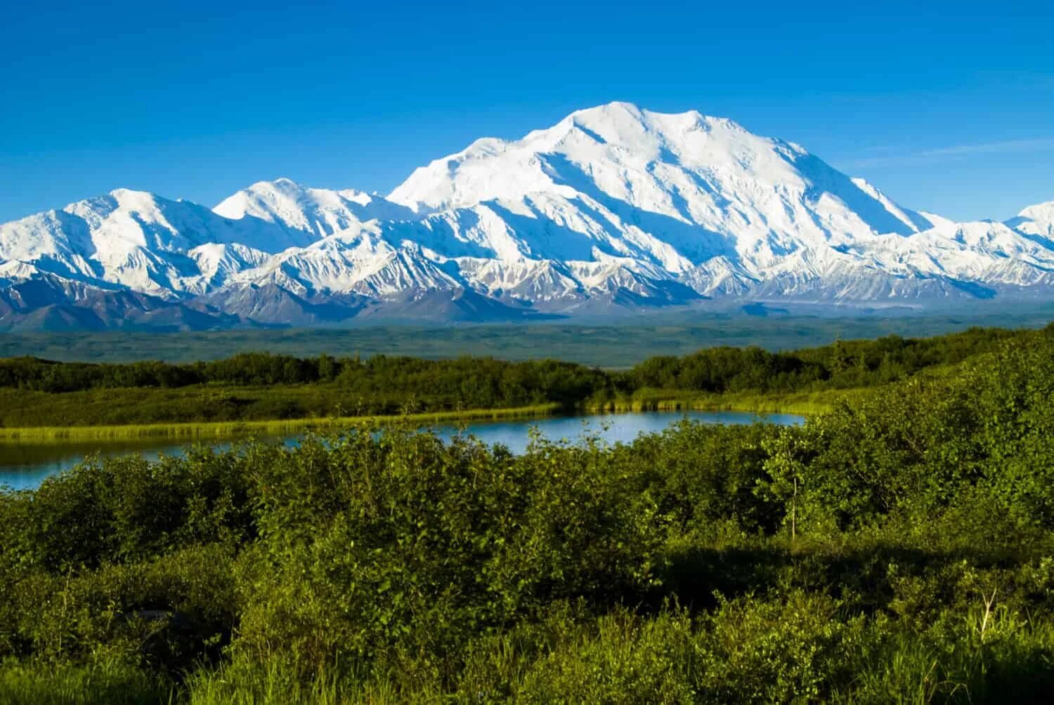 Северная Америка-гора Мак-Кинли, Аляска. Гора Денали (Мак-Кинли). Гора Маккинли Аляска. Аляска гора Денали. Mount only