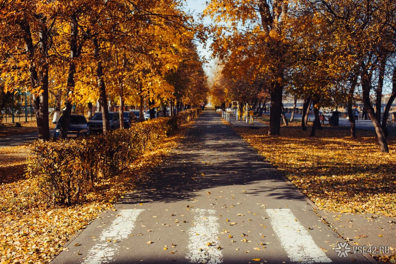 Осень в Кемерово невероятно красива. Публикуем 20 фото, которые это доказывают О